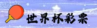 使用指南与常见问题